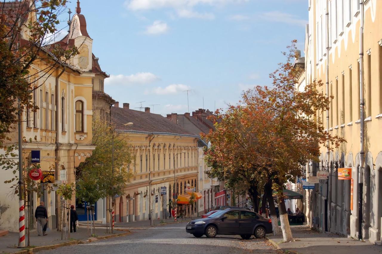 Butterfly Apartment-Hidden Gem In The Heart Of Târgu-Mureş Buitenkant foto